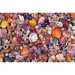 Sea Shells 1000 Piece Jigsaw Puzzle Piatnik (ONLINE ORDER ONLY)