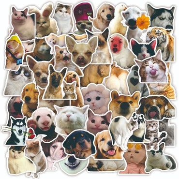 10/30/50PCS Cat MEME Funny Animals Stickers Vintage Toy DIY Kids Notebook Luggage Motorcycle Laptop Refrigerator Decals Graffiti (ONLINE ORDER ONLY)