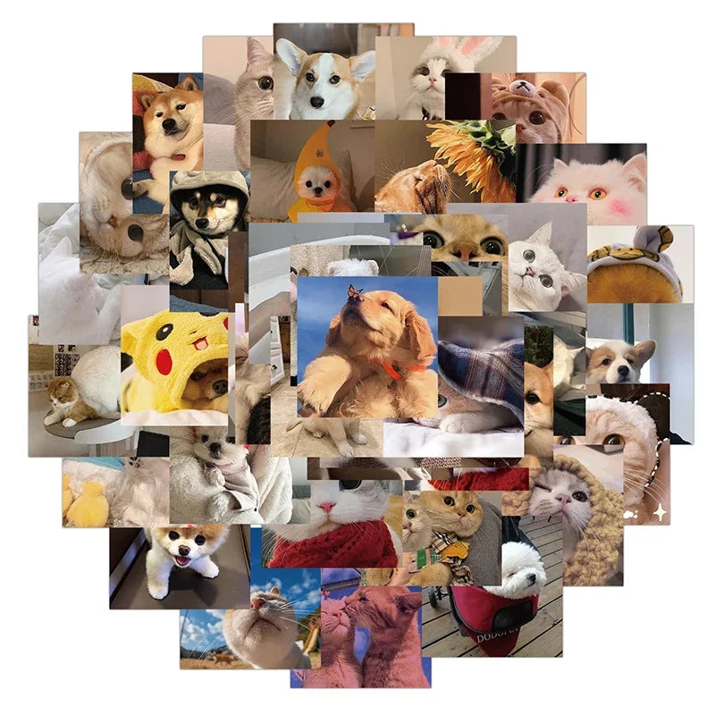 10/30/48PCS Cute Cat Dog Daily Sticker Aesthetic PVC Children's Decoration Korean Stationery Scrapbooking School Supplies (ONLINE ORDER ONLY)