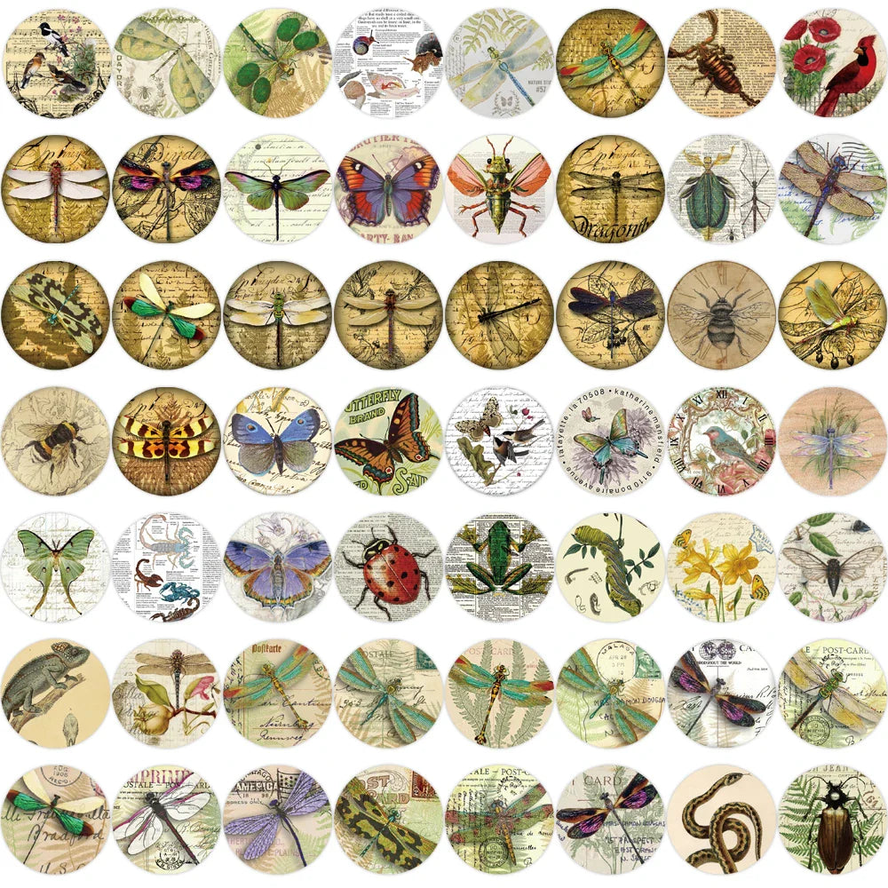 58PCS Insect Specimen Sticker Cartoon Vintage DIY Phone Laptop Luggage Skateboard Graffiti Decals Fun for Kid Stickers Toy (ONLINE ORDER ONLY)