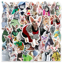 10/30/50PCS Cute Sphynx Cat Stickers Kawaii Animal Cartoon Decals DIY Scrapbook Phone Laptop Fridge Guitar Bike Graffiti Sticker (Online Order Only)