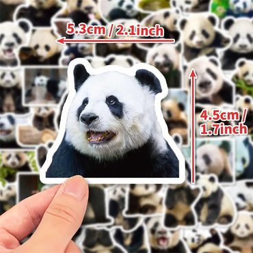10/30/50PCS Cute Panda Life PVC Sticker Aesthetic Decoration Scrapbooking Korean Stationery Hand Accounting School Supplies (ONLINE ORDER ONLY)