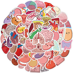 65Pcs Human Body Organ Stickers Cartoon Waterproof Sticker DIY Decals for Water Bottle Laptop Luggage Phone Kids Toys (Online Order Only)