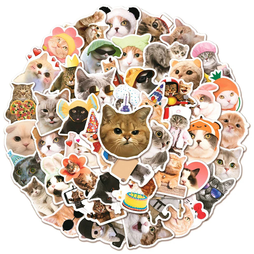 Cat MEME Funny Animal Stickers Pack - DIY Notebook Luggage Laptop Car Decals (ONLINE ORDER ONLY)