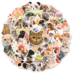 Cat MEME Funny Animal Stickers Pack - DIY Notebook Luggage Laptop Car Decals (ONLINE ORDER ONLY)