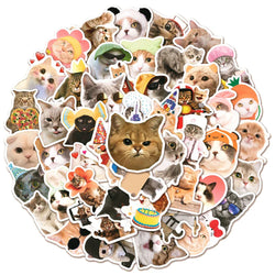 Cat MEME Funny Animal Stickers Pack - DIY Notebook Luggage Laptop Car Decals (ONLINE ORDER ONLY)