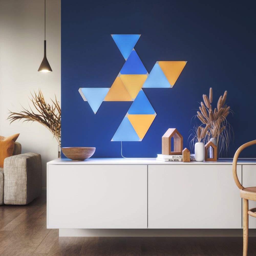 Triangles Smarter Kit 10PK (Online Order Only)