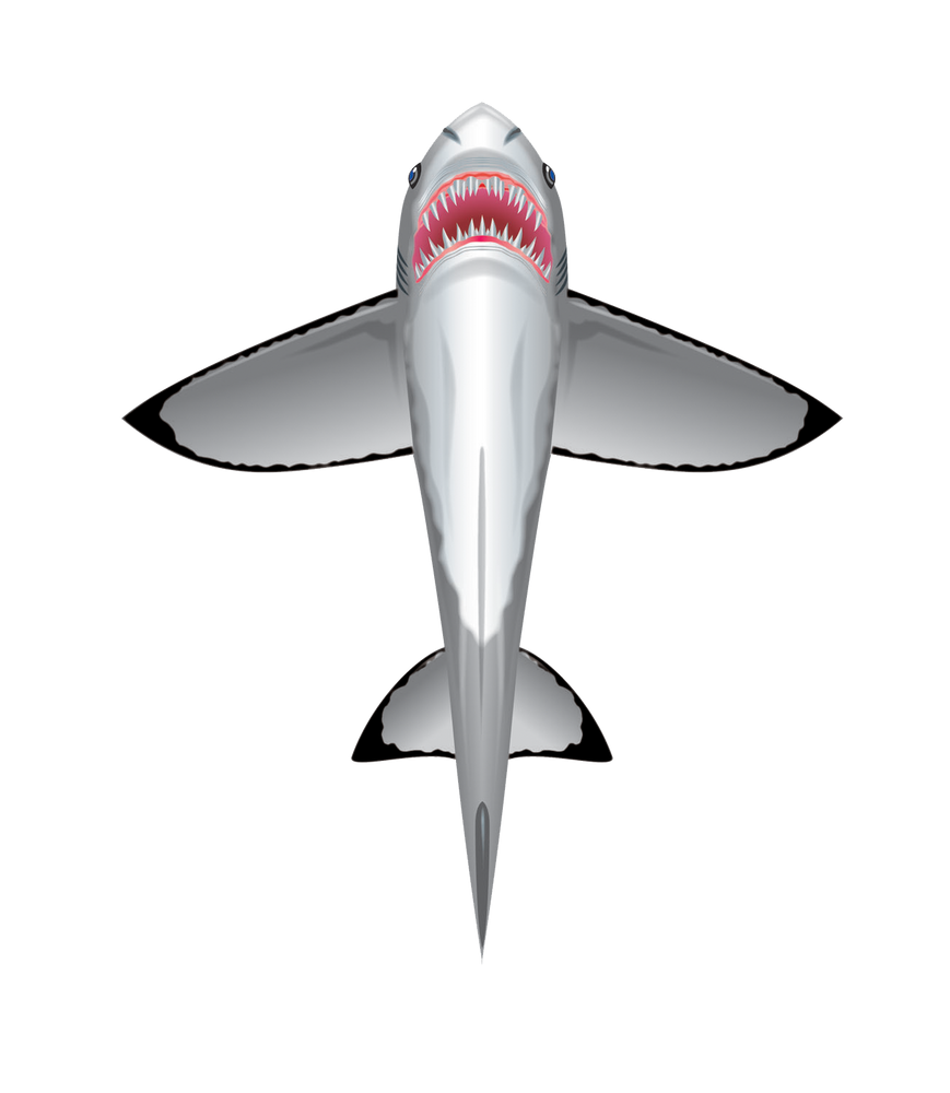 SeaLife 60 inch tall Nylon Shark Kite (ONLINE ORDER ONLY)