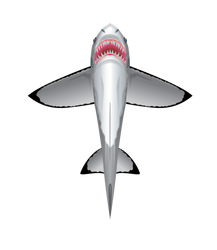 SeaLife 60 inch tall Nylon Shark Kite (ONLINE ORDER ONLY)