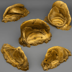 3D Printed Fantastic Plants and Rocks Sharp Desert Stones 28mm - 32mm D&D Wargaming (Online Only)