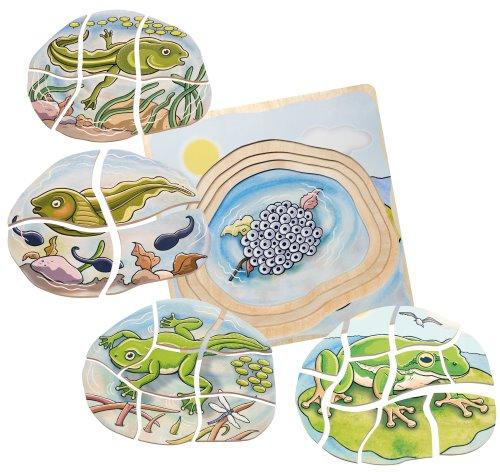Multi-Layer Nesting Wood Puzzle: Egg to Frog 5-Layer (ONLINE ORDER ONLY)