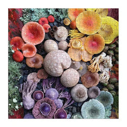 Shrooms in Blooms 500 Piece Jigsaw Puzzle Galison (ONLINE ORDER ONLY)