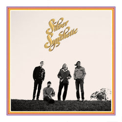 Silver Synthetic [Vinyl] (ONLINE ORDER ONLY)