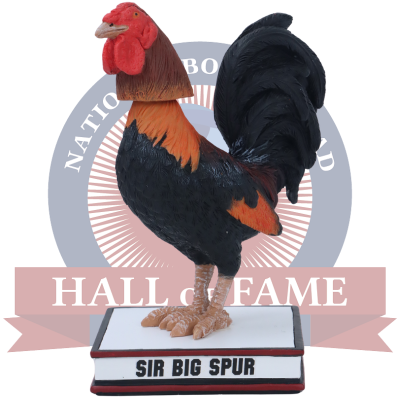 Sir Big Spur VII South Carolina Gamecocks Live Gamecock Bobblehead (ONLINE ORDER ONLY)