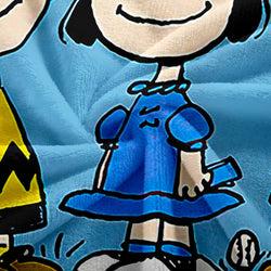 Snoopy Blanket Flannel Throw Room Decoration (Online Order Only)
