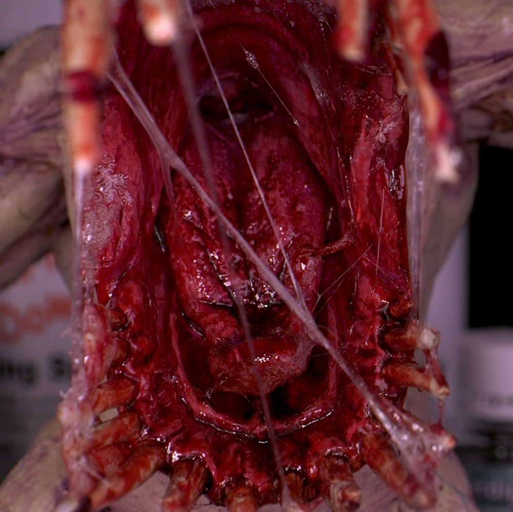 Dirty Down | Basing and Model Effects | Gore