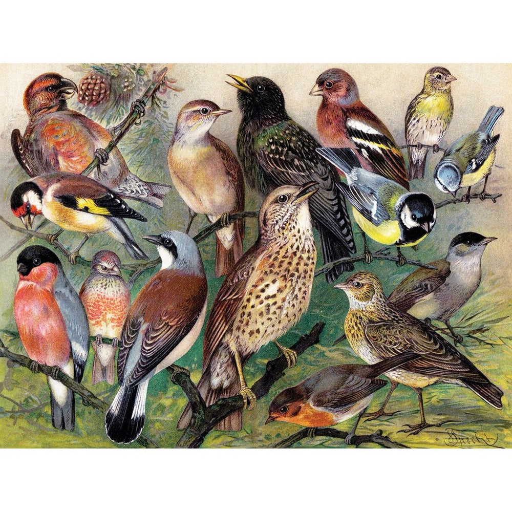 Songbirds 1000 Piece Jigsaw Puzzle NYPC (ONLINE ORDER ONLY)
