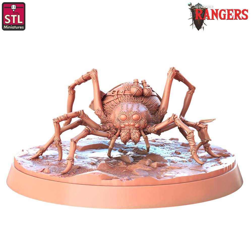 3D Printed STL Miniatures Rangers Spiders Rangers  28 - 32mm War Gaming D&D (Online Only)