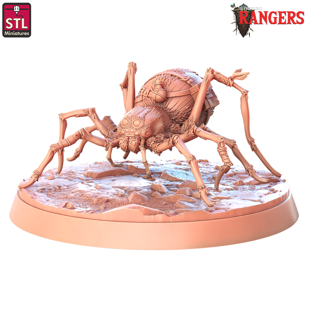 3D Printed STL Miniatures Rangers Spiders Rangers  28 - 32mm War Gaming D&D (Online Only)