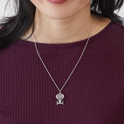 Star Trek X RockLove USS ENTERPRISE-D Starship Necklace (ONLINE ORDER ONLY)