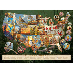 State Birds of America 1000 Piece Jigsaw Puzzle Cobble Hill (ONLINE ORDER ONLY)