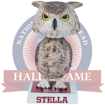 Stella Temple Owls Live Owl Bobblehead (ONLINE ORDER ONLY)