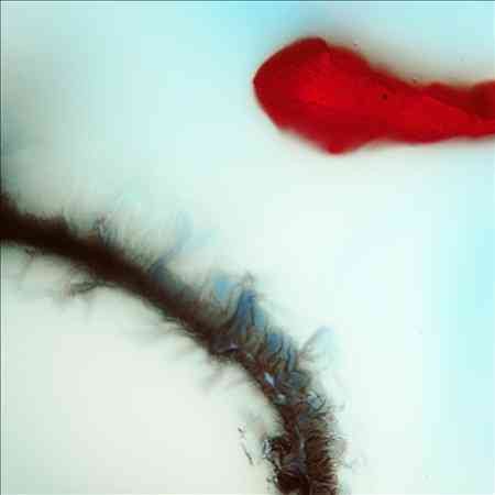 Stubborn Heart [Vinyl] (ONLINE ORDER ONLY)