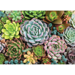 Succulent Garden 1000 Piece Jigsaw Puzzle Peter Pauper