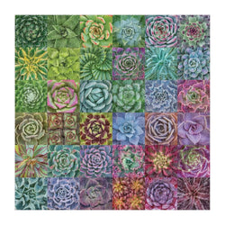 Succulent Spectrum 500 Piece Jigsaw Puzzle Galison (ONLINE ORDER ONLY)