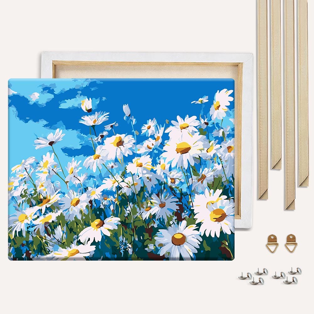 Summer Daisies - Paint By Numbers Kit