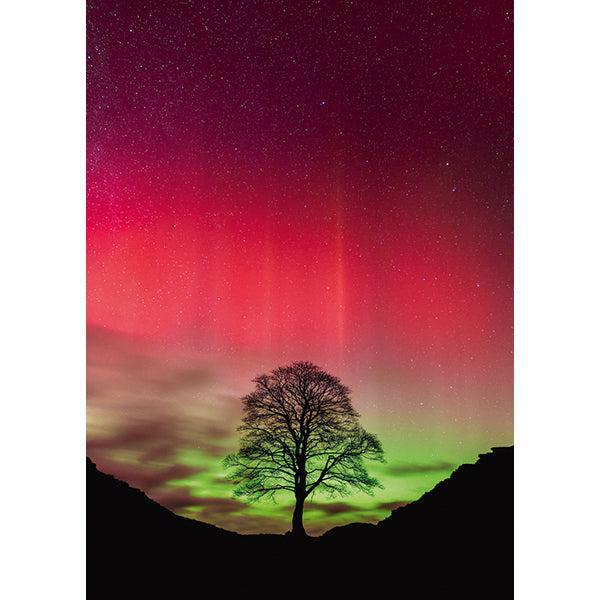 Sycamore Gap Power of Nature 1000 Piece Jigsaw Puzzle Heye (ONLINE ORDER ONLY)