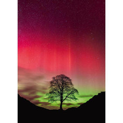 Sycamore Gap Power of Nature 1000 Piece Jigsaw Puzzle Heye (ONLINE ORDER ONLY)