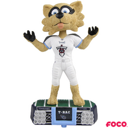 NFL Stadium Lights Bobbleheads (ONLINE ORDER ONLY)