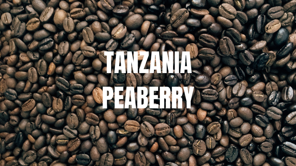 Single-Origin Tanzania Peaberry (ONLINE ORDER ONLY)