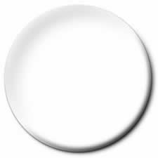 TES1168PT White Flat Enamel Paint .25oz Bottle Testors Paints (ONLINE ORDER ONLY)