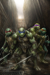 Teenage Mutant Ninja Turtles #17 Wil Shrike