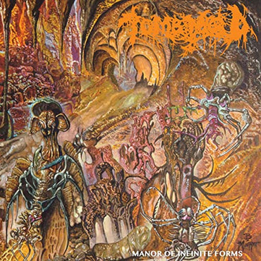 (Colored) Manor Of Infinite Forms [Vinyl] (ONLINE ORDER ONLY)