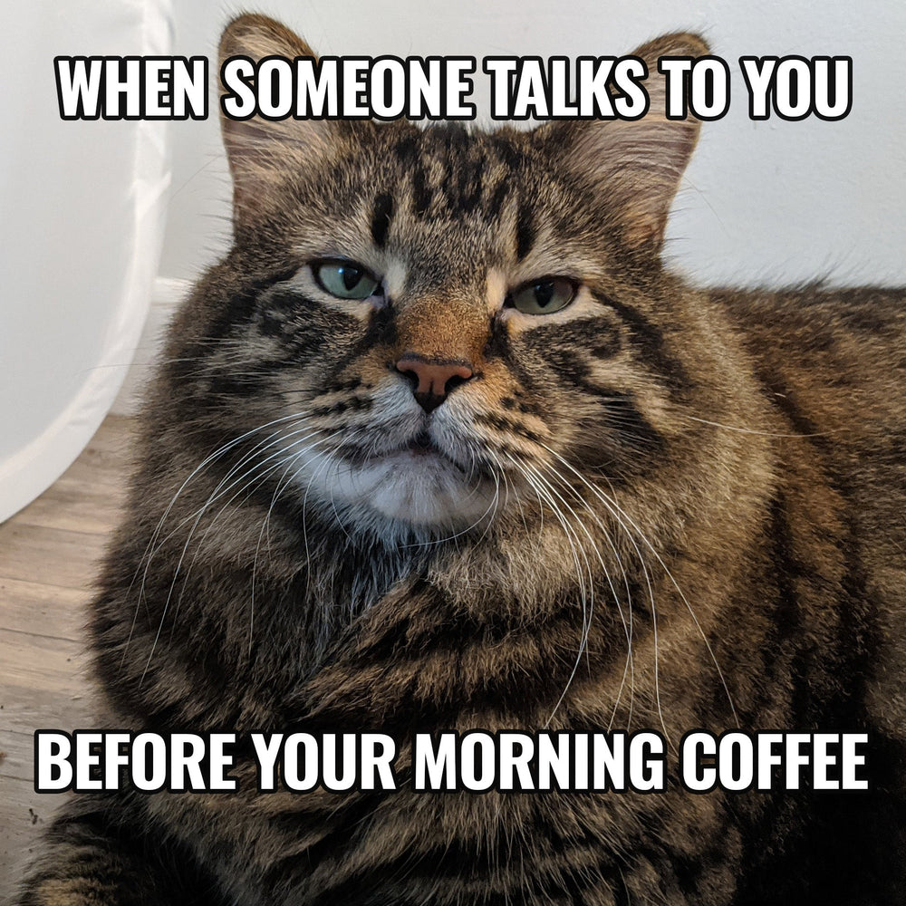 Morning Coffee Meme Sticker (Online Order Only)