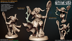 3D Printed Artisan Guild Taura the Oracle Order of the Labyrinth 28mm 32mm (Online Only)