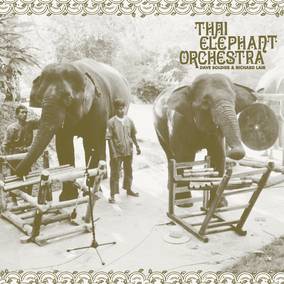 Thai Elephant Orchestra [Vinyl] (ONLINE ORDER ONLY)
