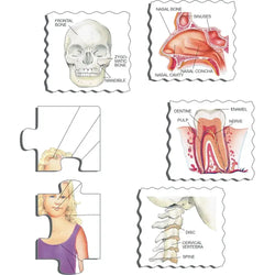 The Body 35 Piece Tray Jigsaw Puzzle Larsen