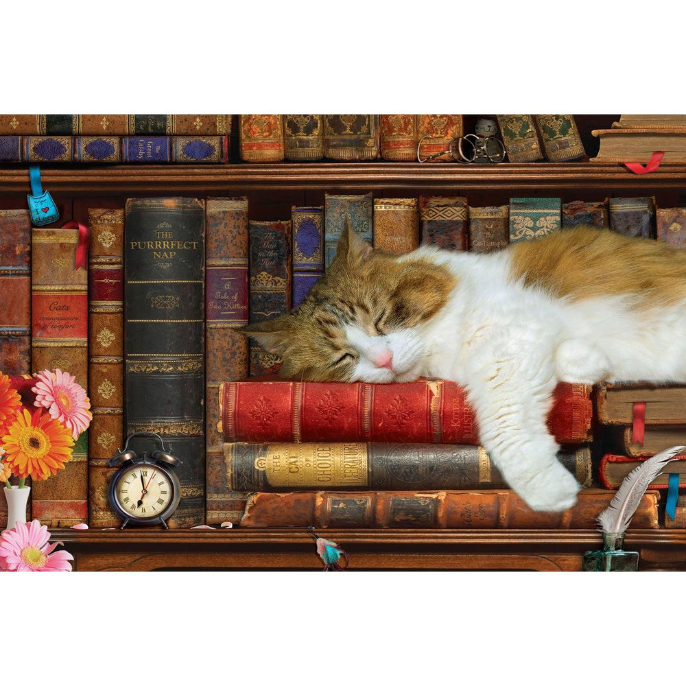 The Cat Nap 1000 Piece Jigsaw Puzzle in Tin Eurographics (ONLINE ORDER ONLY)
