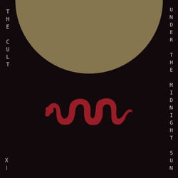 Under The Midnight Sun [Vinyl]