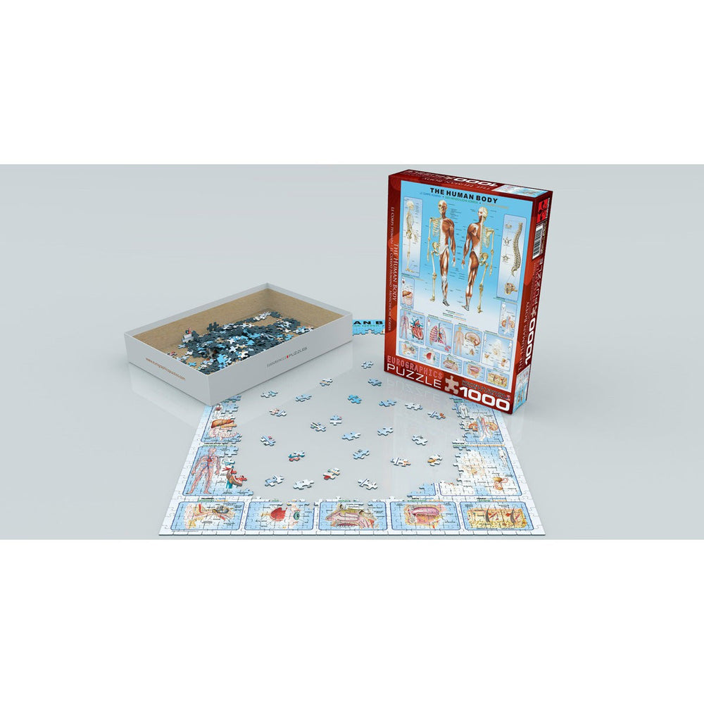 The Human Body 1000 Piece Jigsaw Puzzle Eurographics (ONLINE ORDER ONLY)