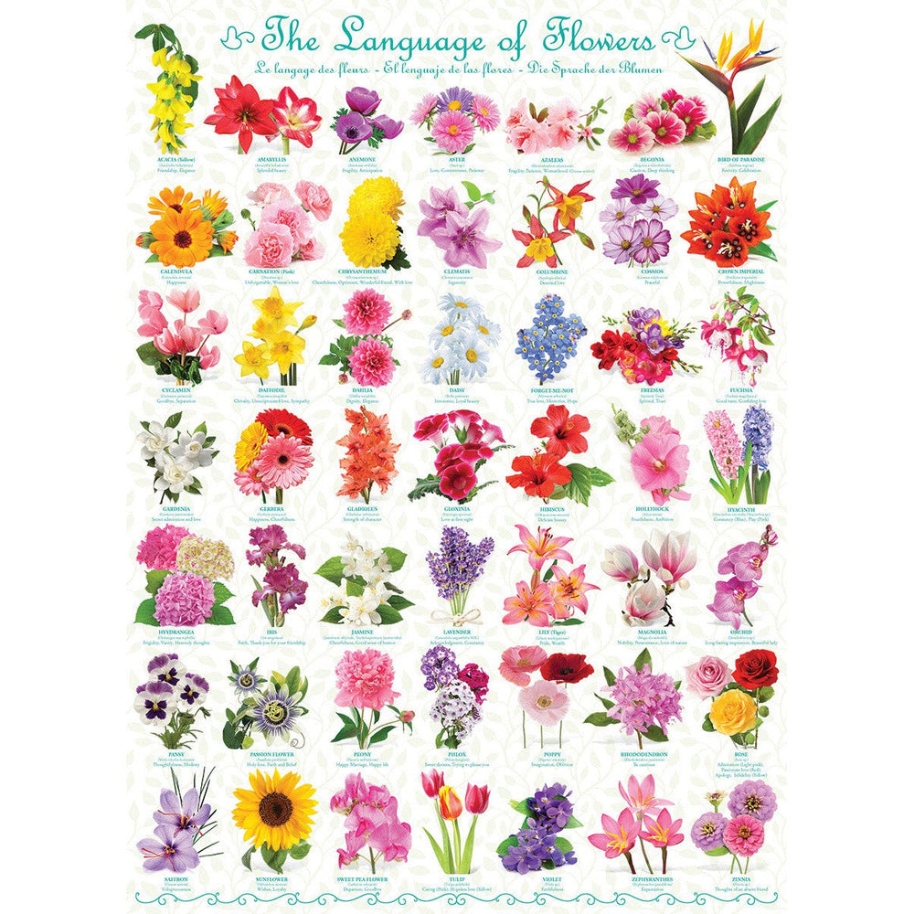 The Language of Flowers 1000 Piece Jigsaw Puzzle Eurographics (ONLINE ORDER ONLY)