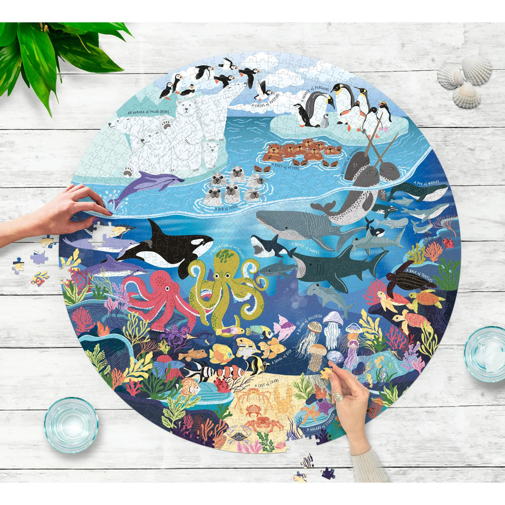 The Ocean Lover's 1000 Piece Round Jigsaw Puzzle Ridley (ONLINE ORDER ONLY)