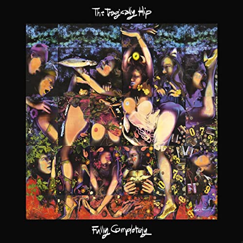 Fully Completely [30th Anniversary Deluxe 3 LP/Blu-ray Box Set] [Vinyl]