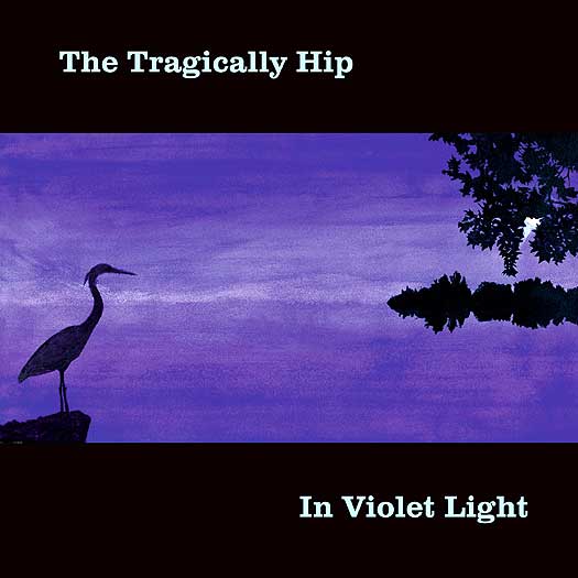 In Violet Light [Import] (2 Lp's) [Vinyl] (ONLINE ORDER ONLY)
