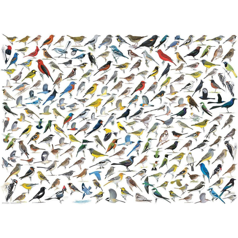 The World of Birds 1000 Piece Jigsaw Puzzle Eurographics (ONLINE ORDER ONLY)