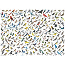 The World of Birds 1000 Piece Jigsaw Puzzle Eurographics (ONLINE ORDER ONLY)